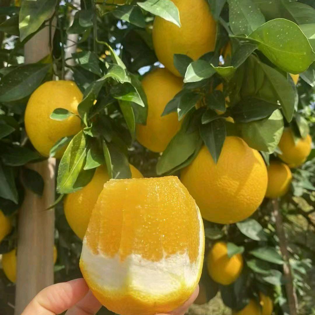 @欣欣向荣