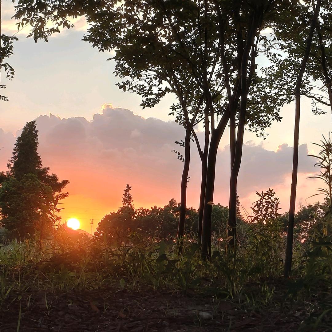 情绪稳定的疯子（首播）