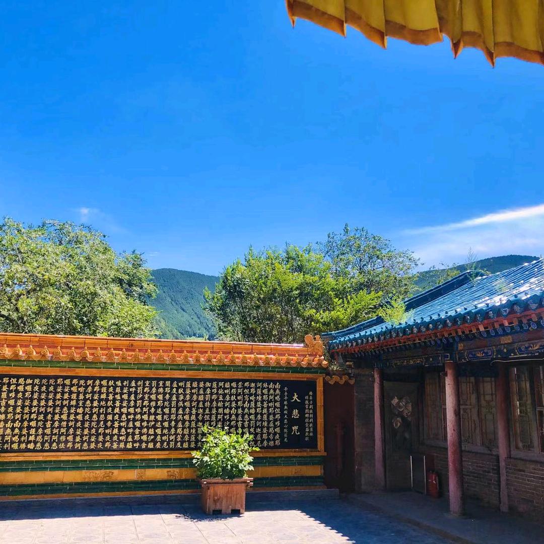 🐉卧龙🐲