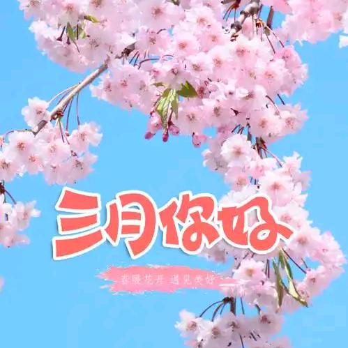 🌈🌈三月