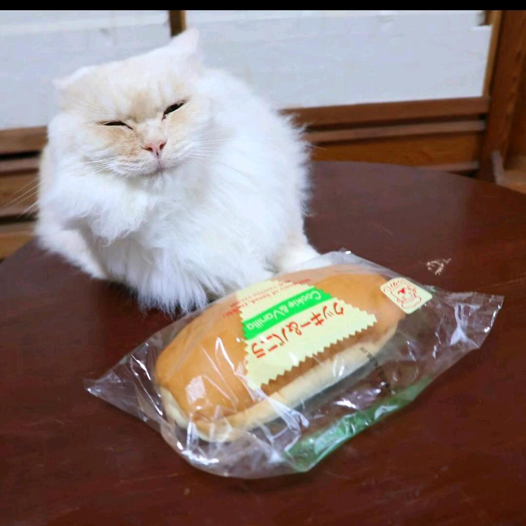 泉ピーク