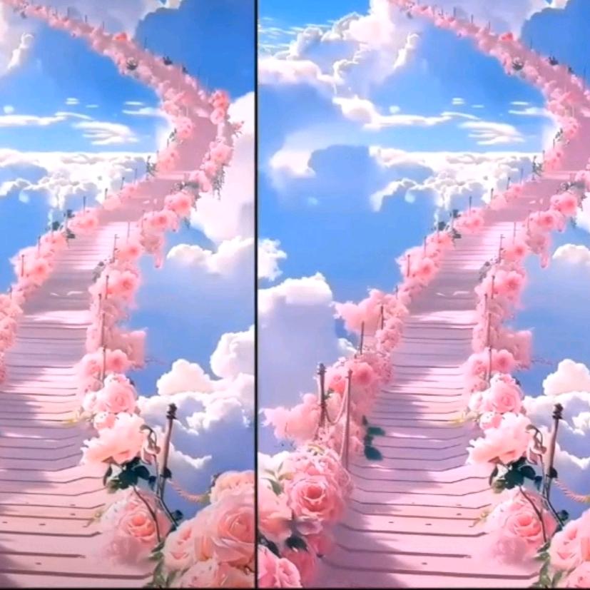 从不认怂，从不胆怯