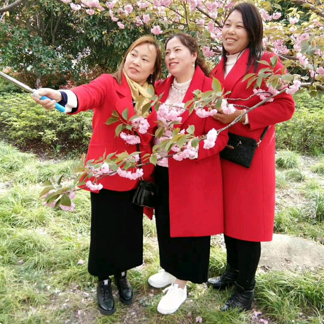 心❤️的回归