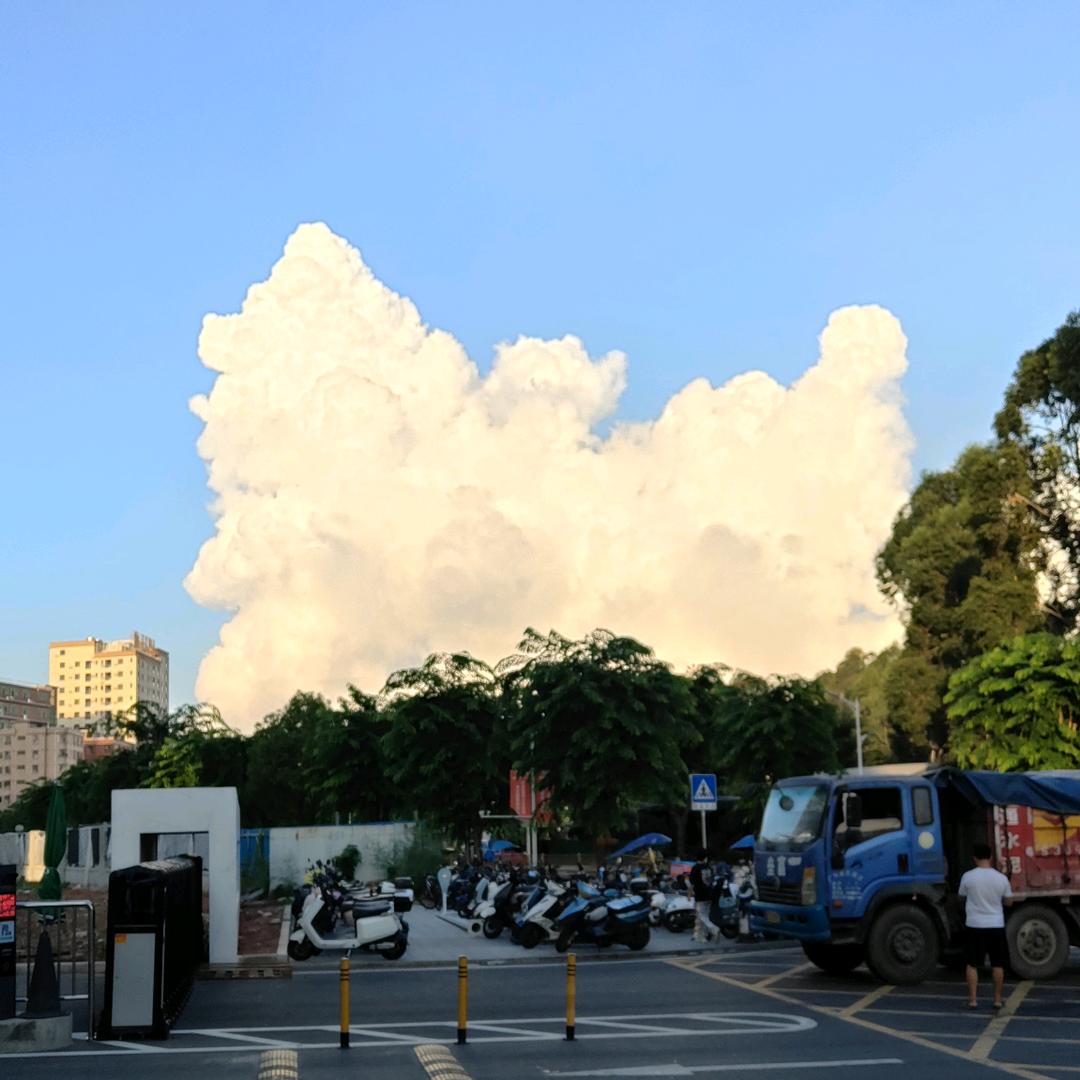 ꦿᩚ冷心为王ꦿᩚ：