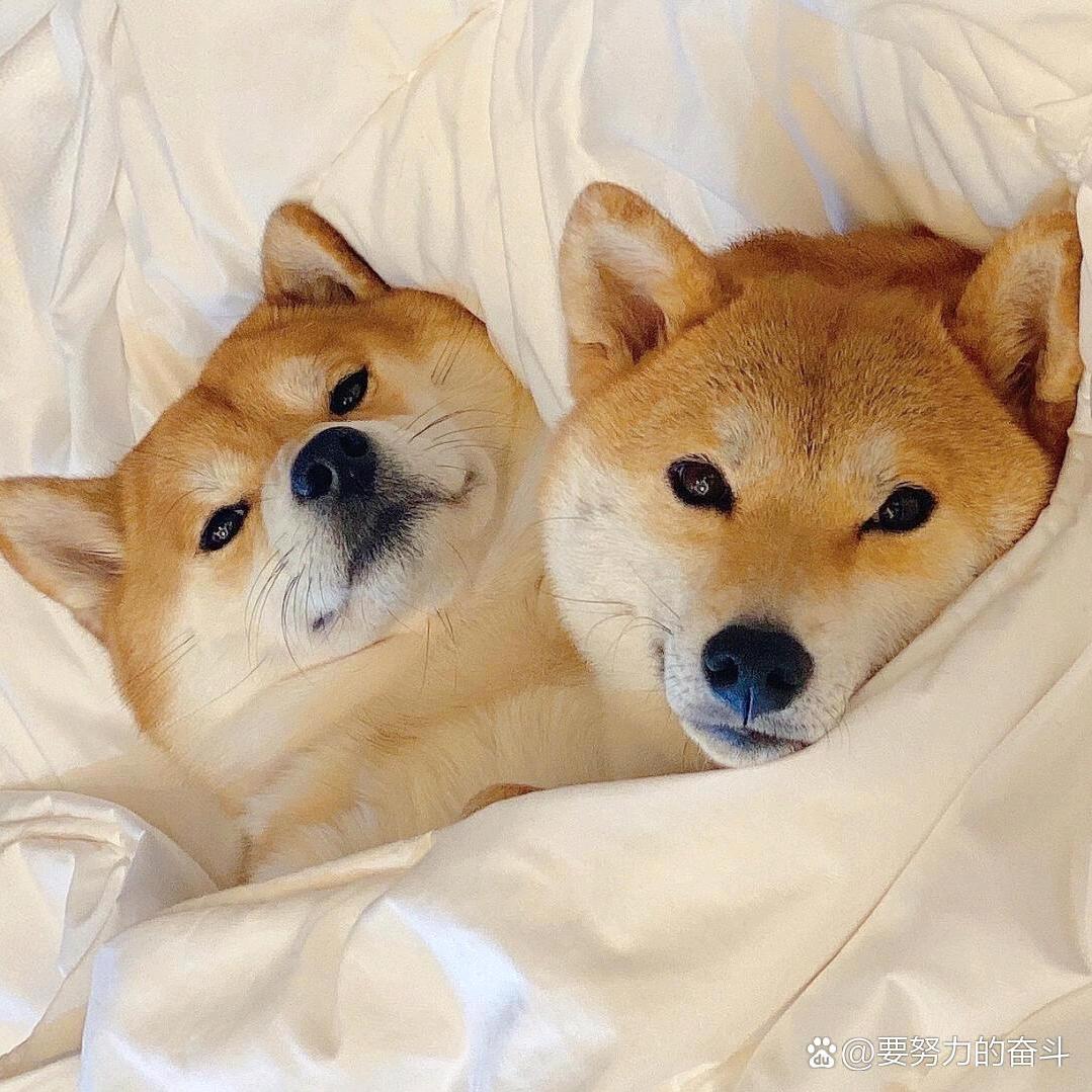 王彦斌