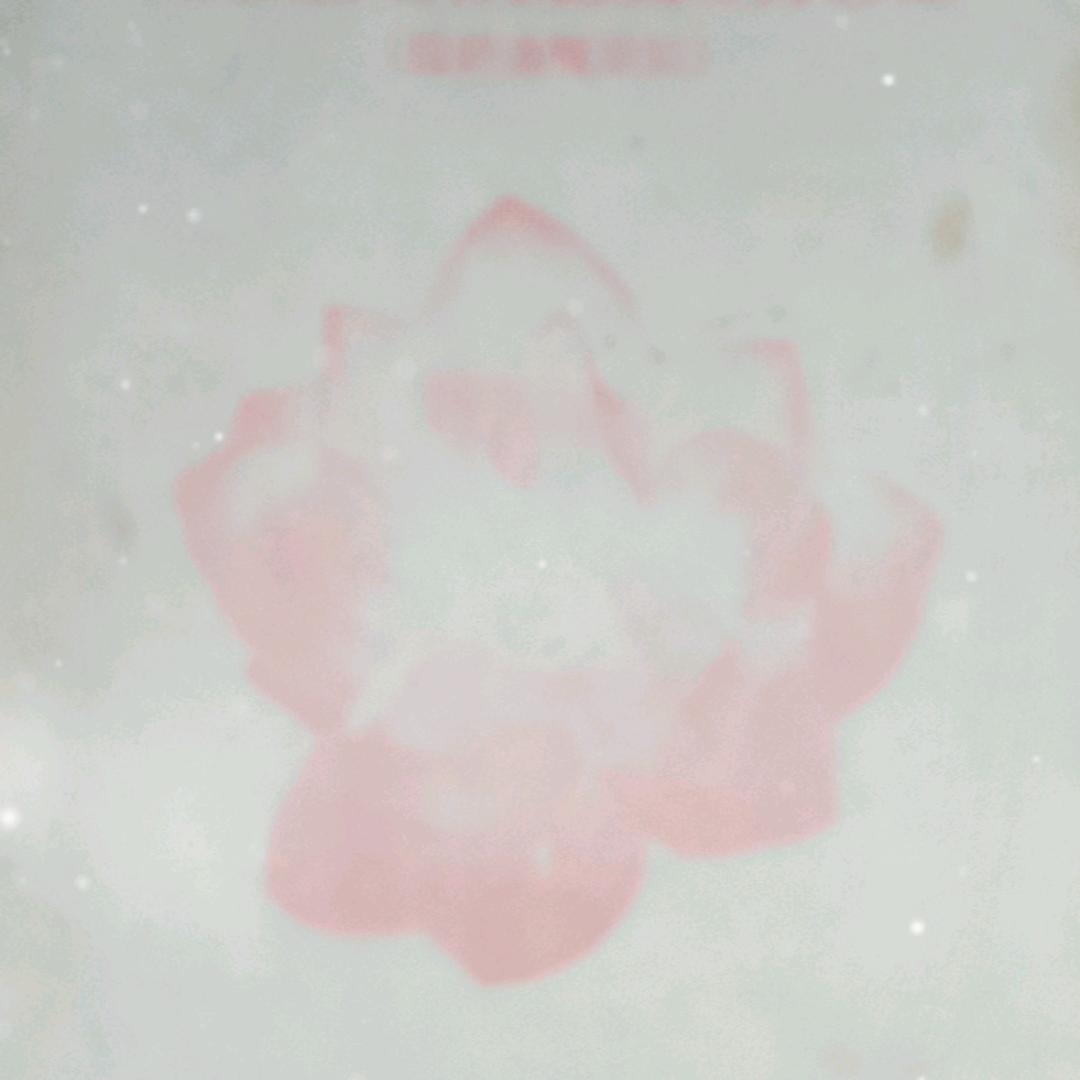 小琴