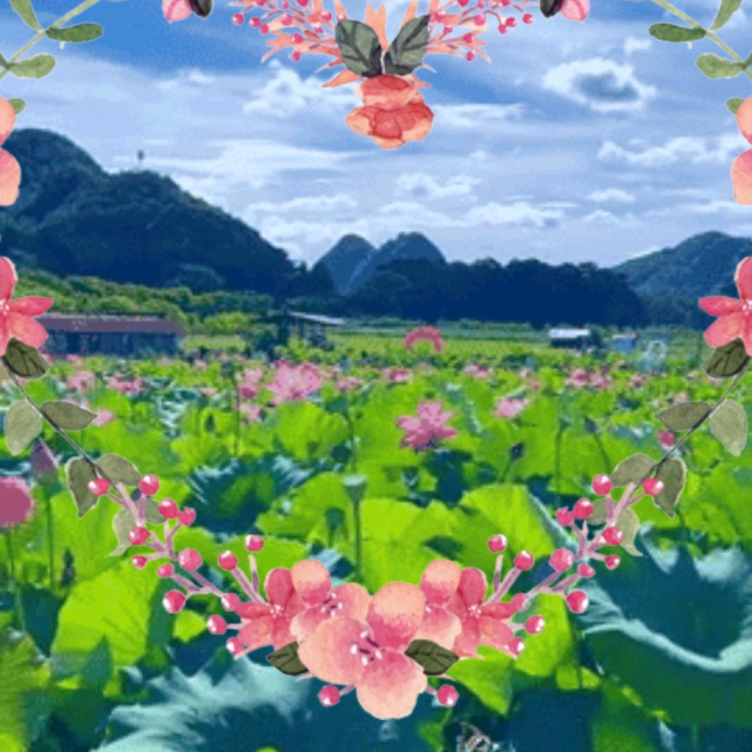 姐妹