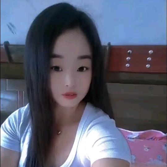 小飞琴