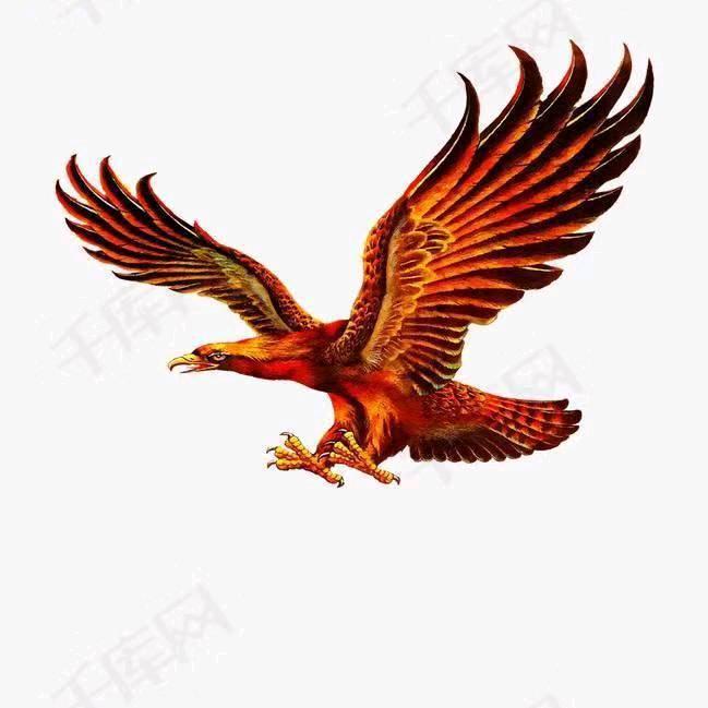 🕊ꦿ᭄展翅飞翔🕊ꦿ᭄