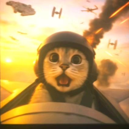 哈哈哈哈哈哈哈哈哈