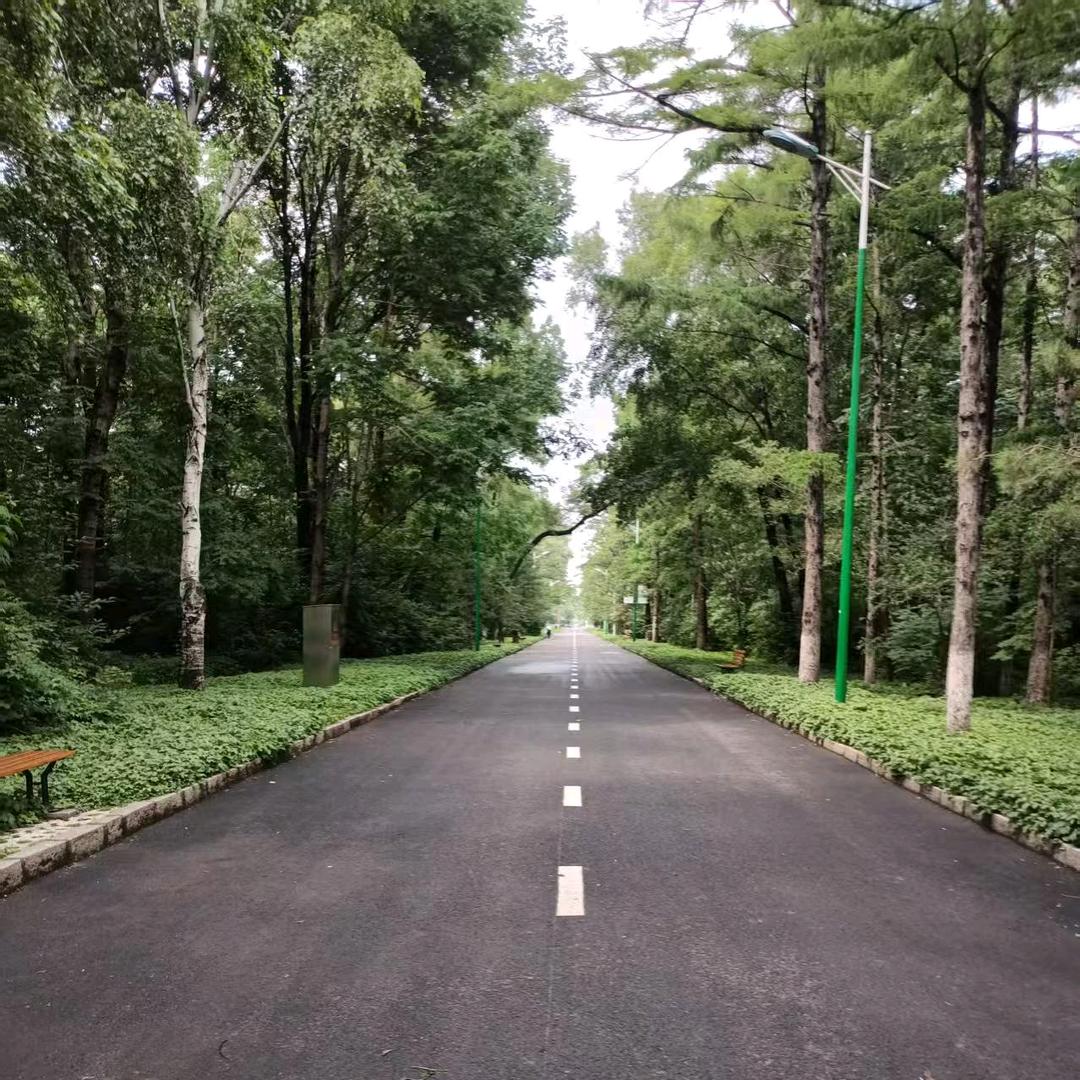 哈向前（一起练字）