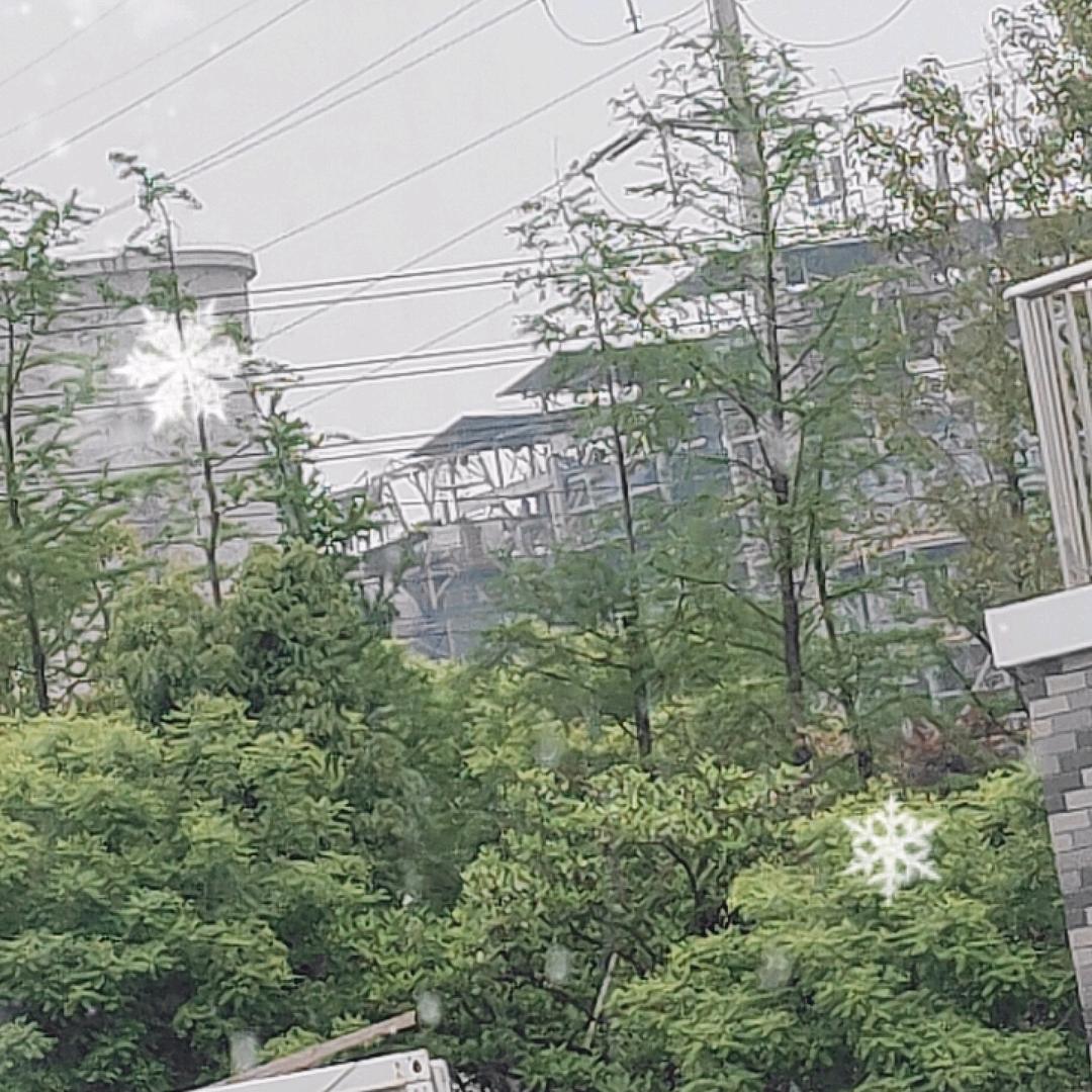 胖子李