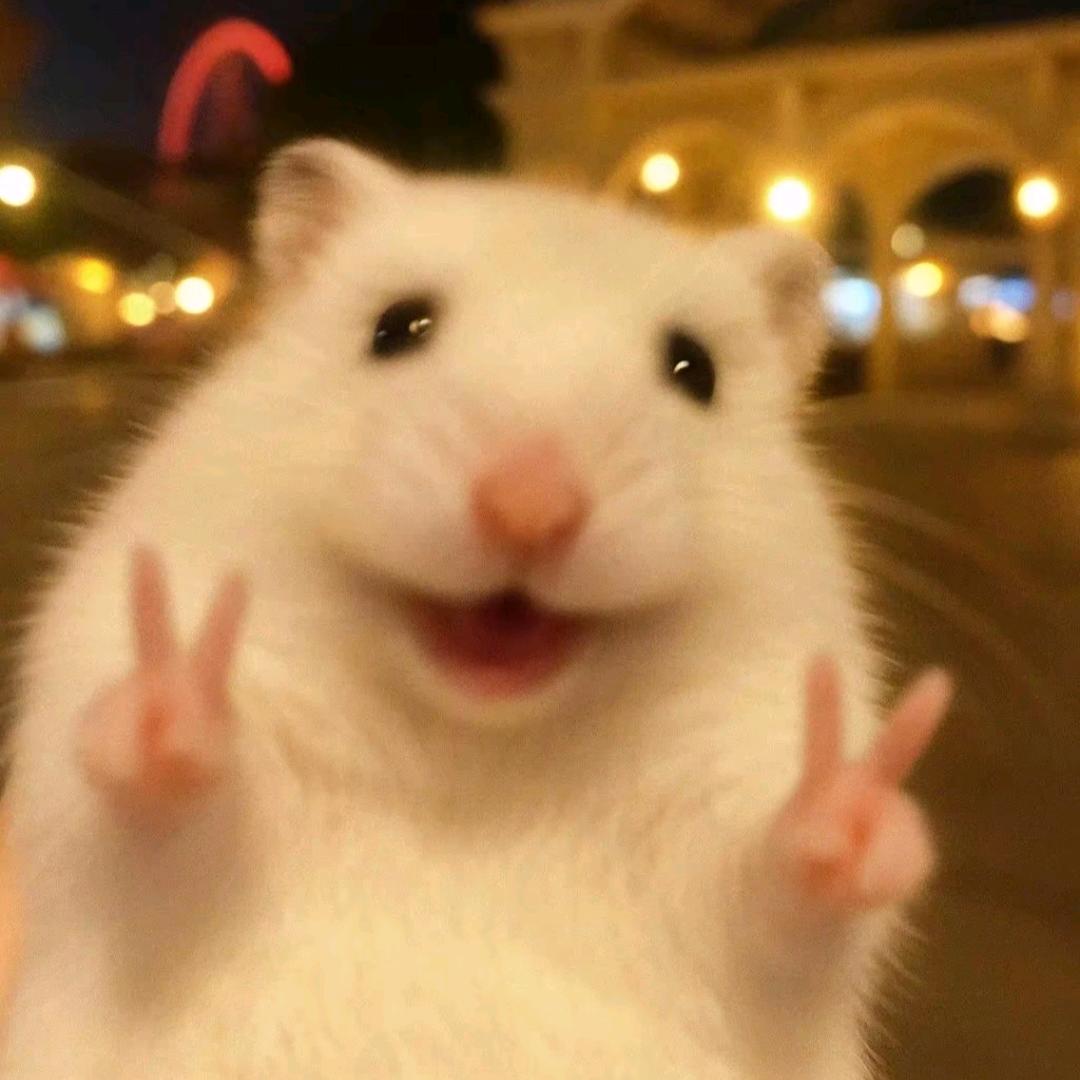 人      你好吖！