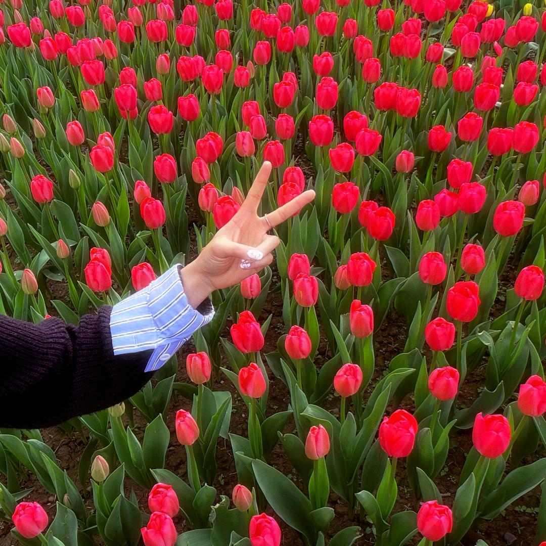 笨笨的解压日记