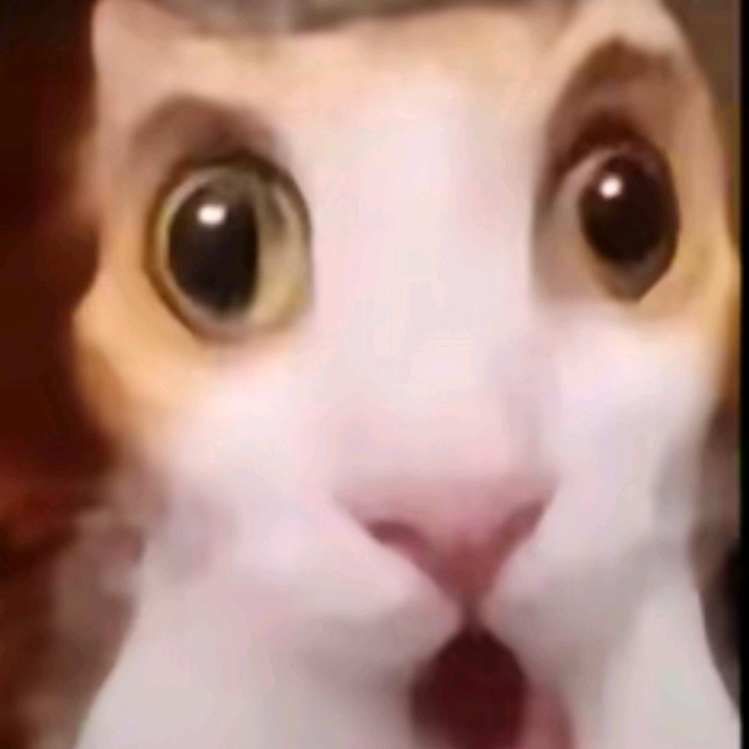 土豆梦男