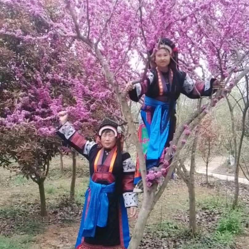 快乐黄哥带你进千亩荷花节