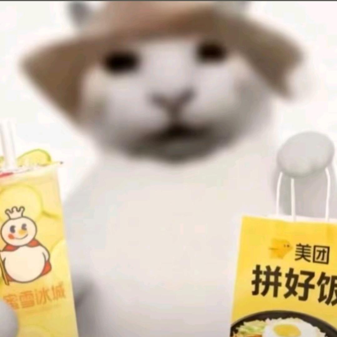 无能的账户