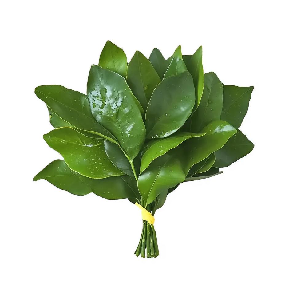 幼多金——您的生命守护之神🩺🥼⚕️