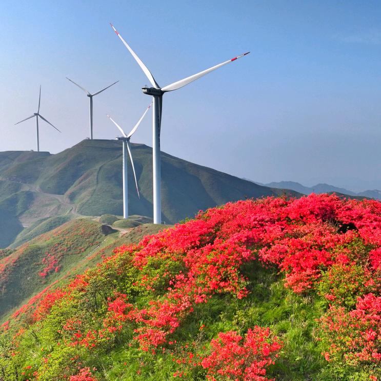 ⸝⸝ʚ̴̶̷̆ ̯ʚ̴̶̷̆⸝⸝