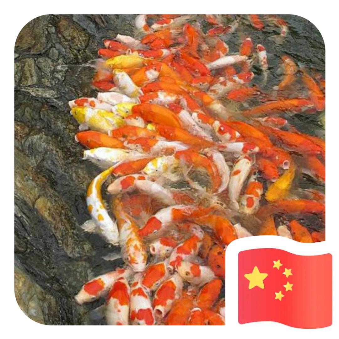天天开心@
