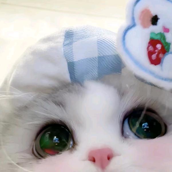 予鹿