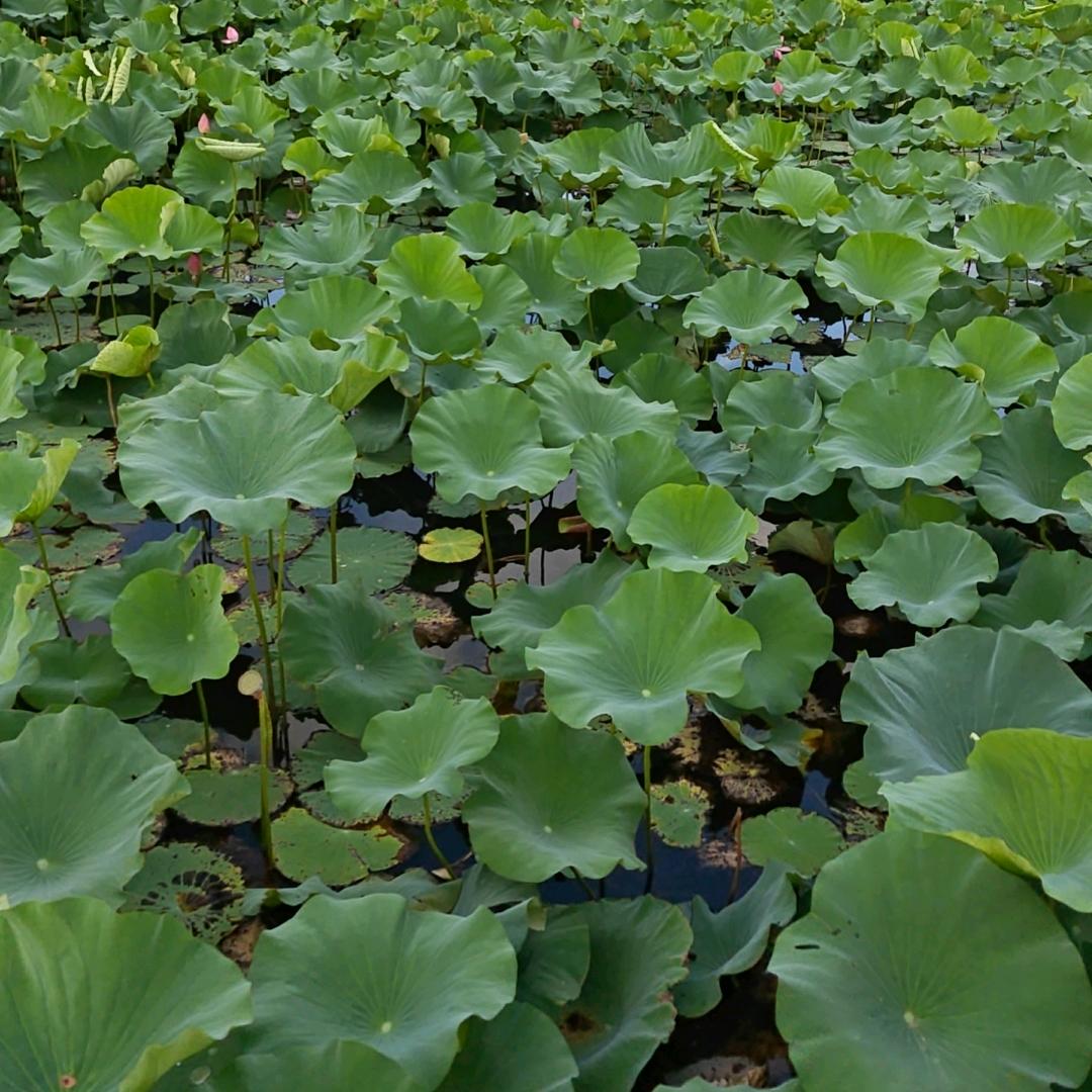 小♡杰˖꒰ᵕ༚ᵕ⑅꒱