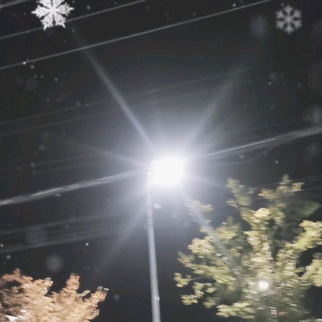 人生若只如初见