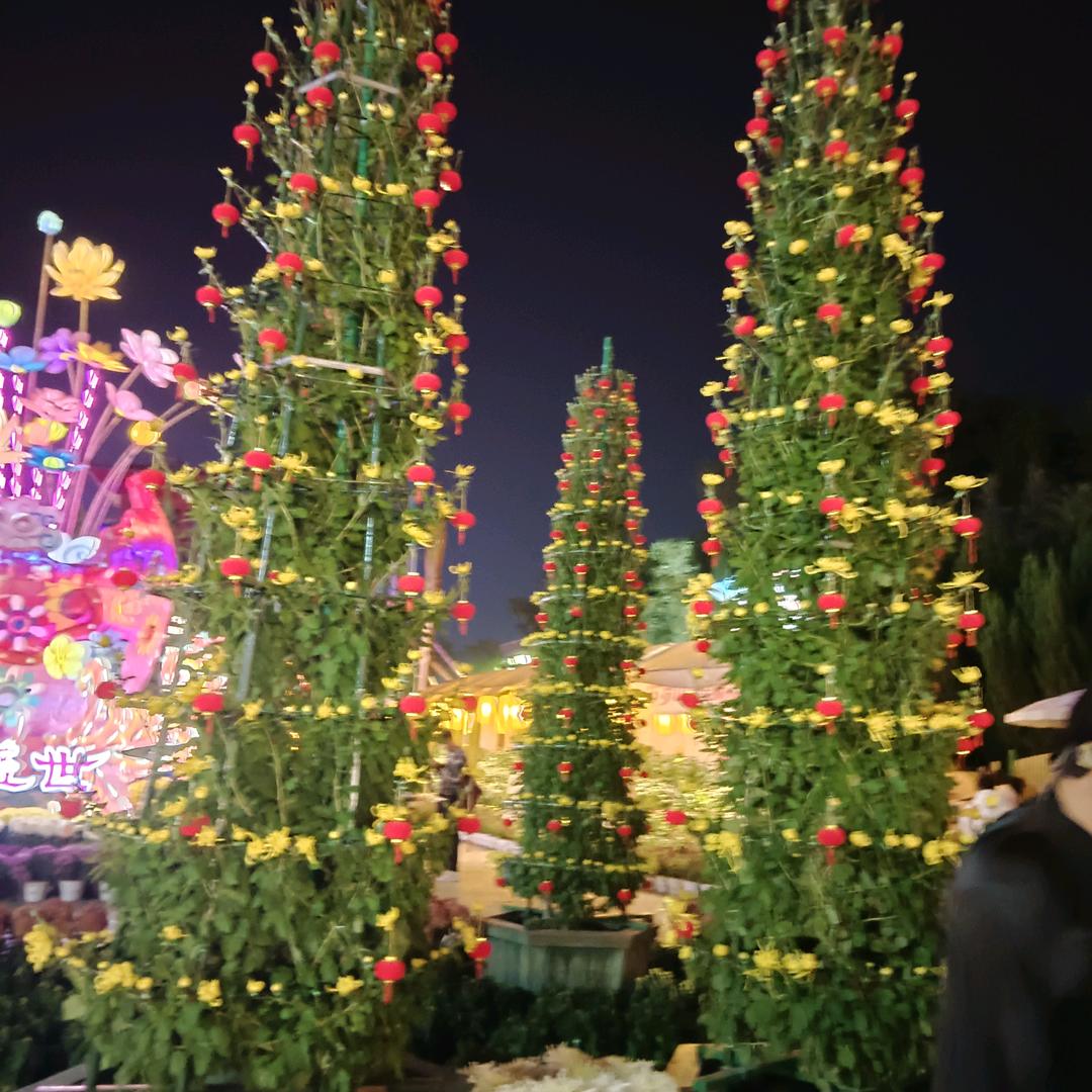 🌺四季🌹安然🍎