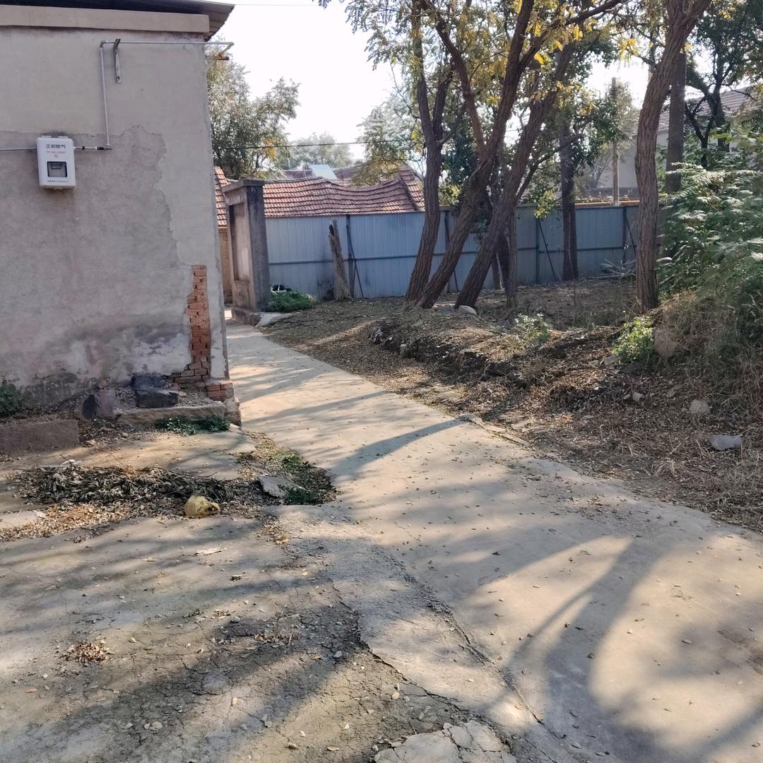 不久的将来会美好