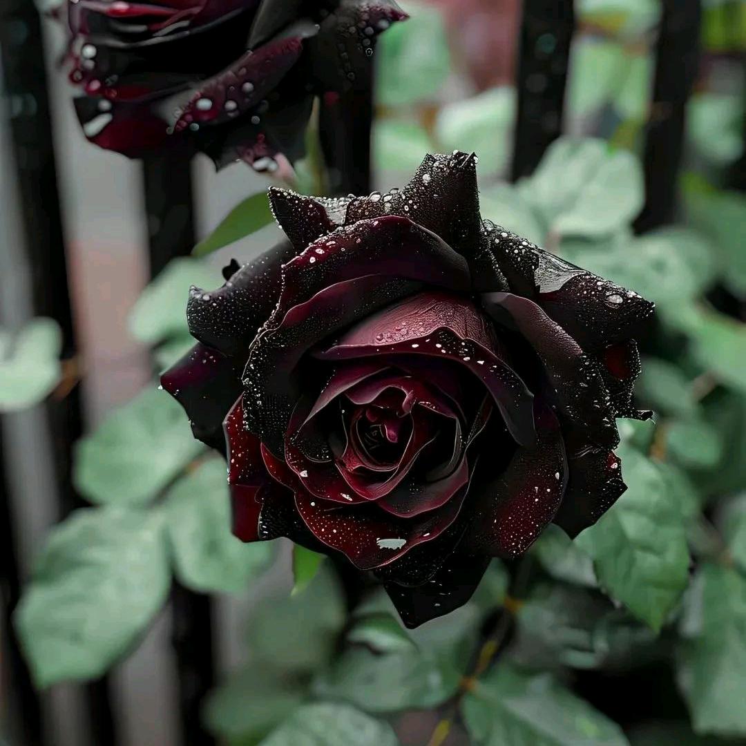 じএve💞⃨渡余໌້ᮨ生ꦿ࿚໌້ᮨ