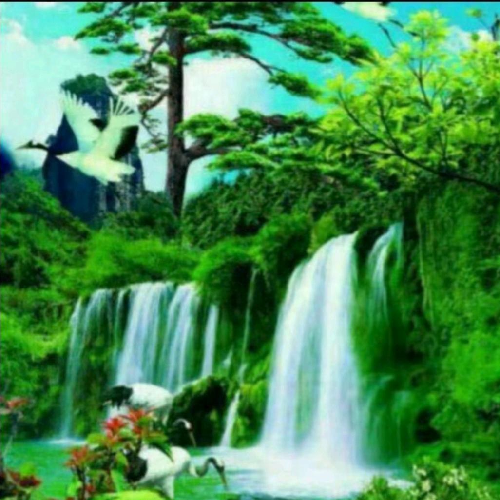 清山绿水2469