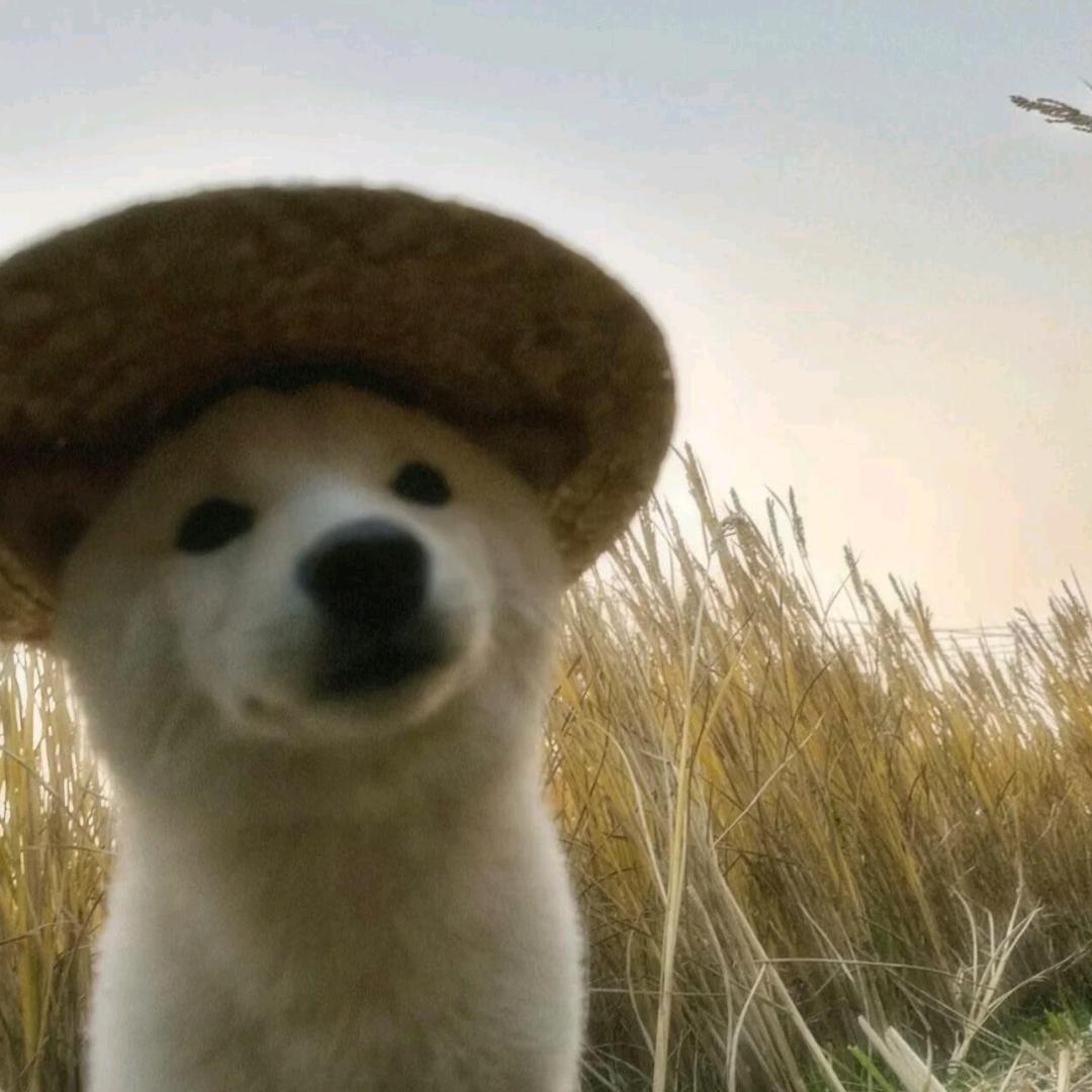 莫愁