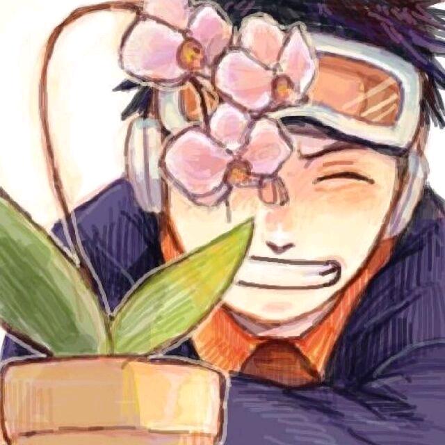 吃货怕做饿梦🌈