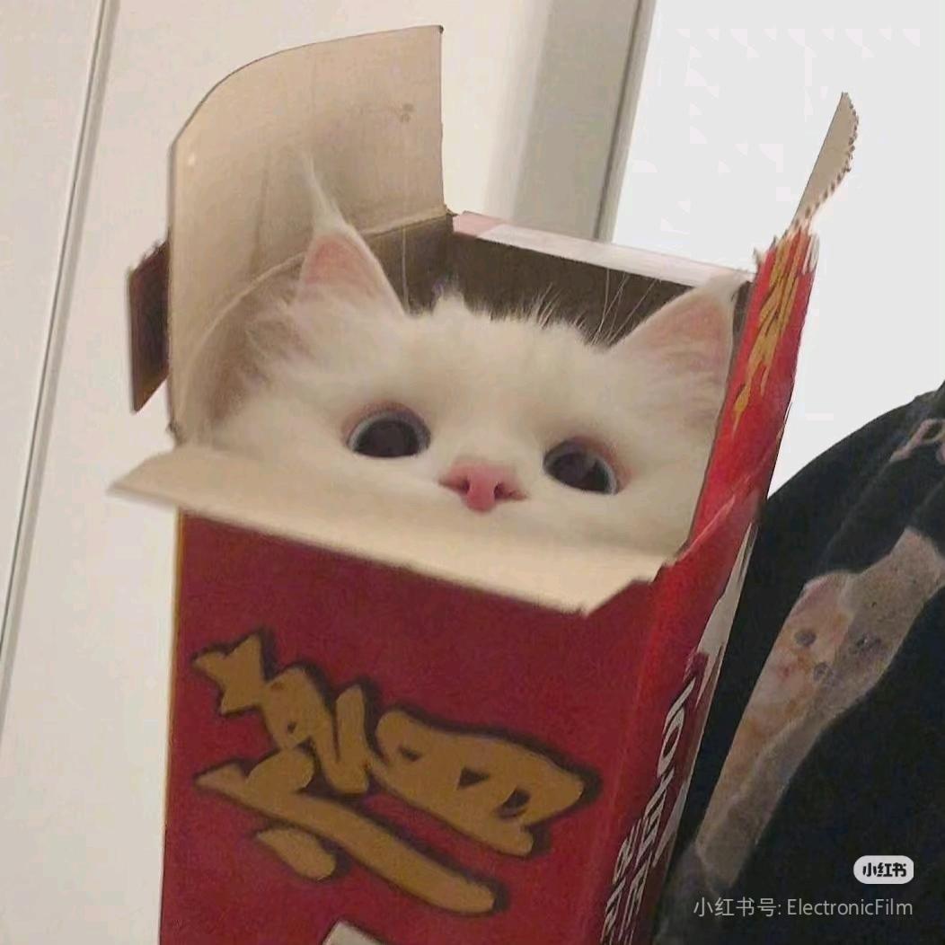 世界一かわいい