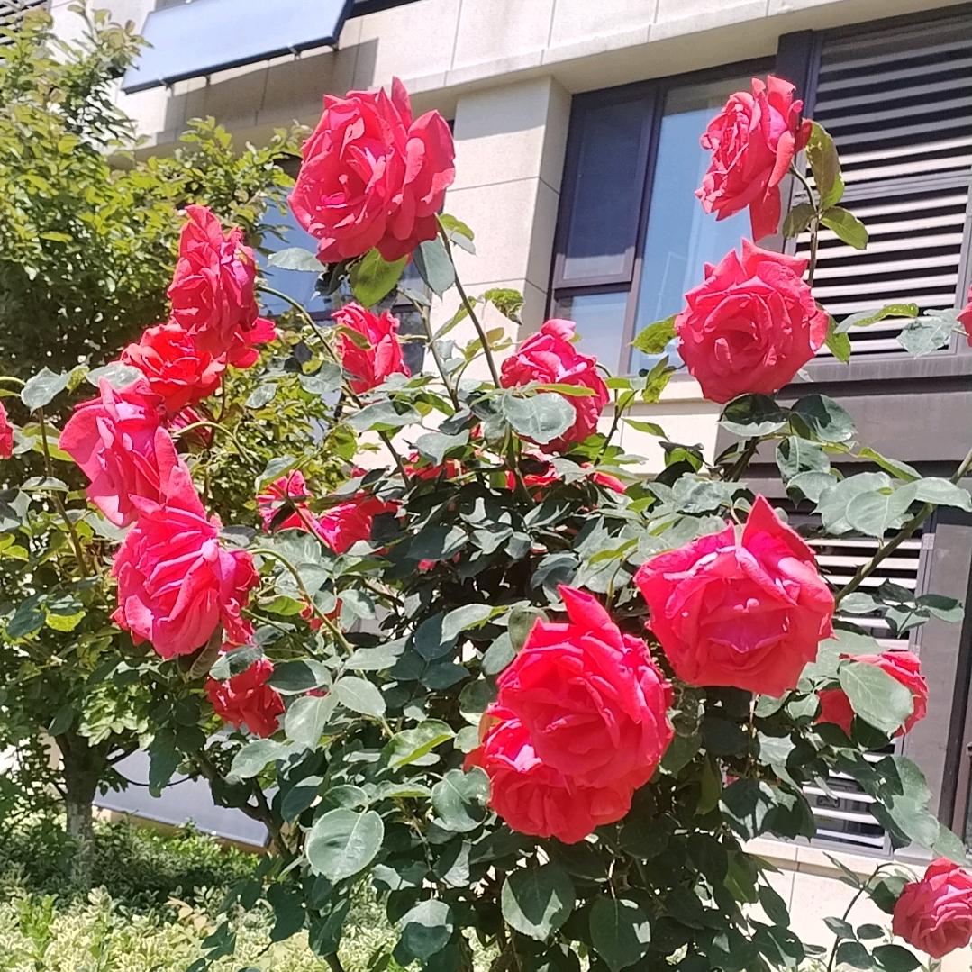 智通影视