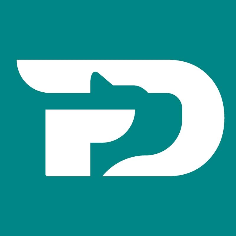 它大夫