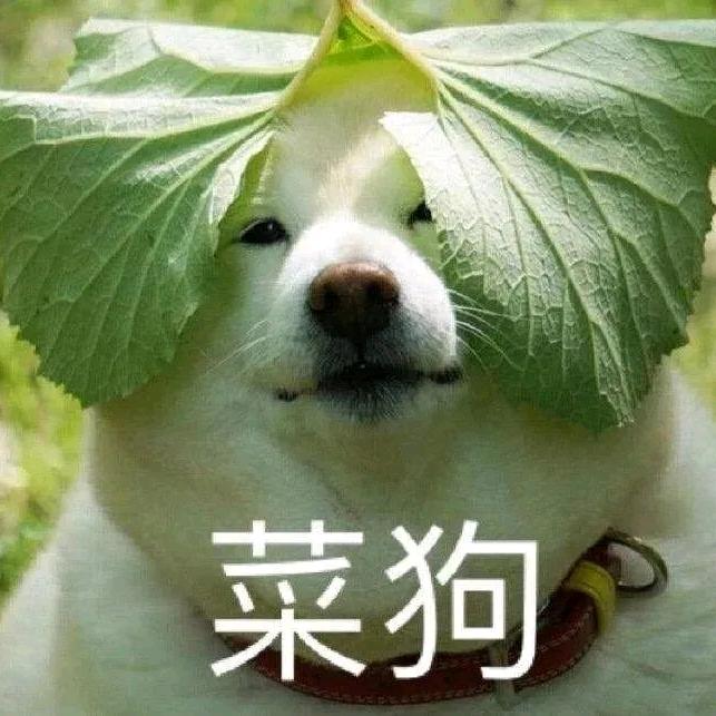 鹏银起