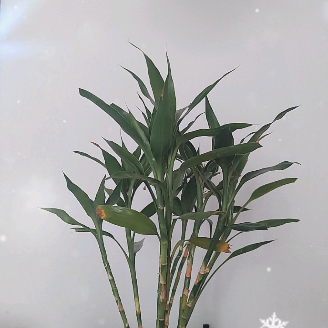 空白记忆