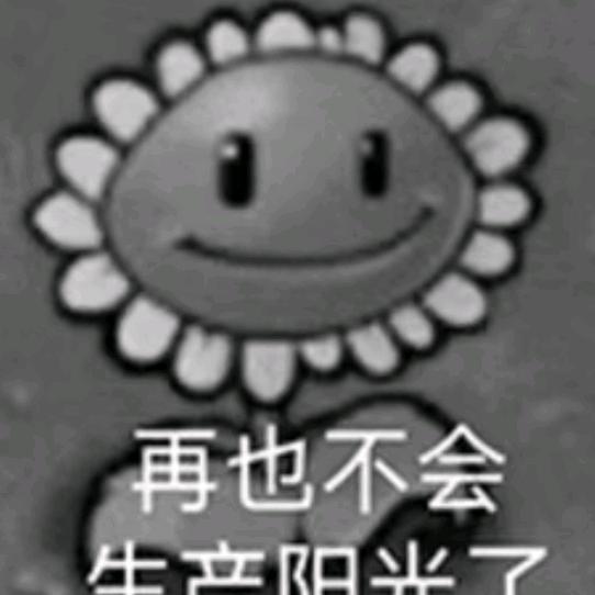 铲铲✨