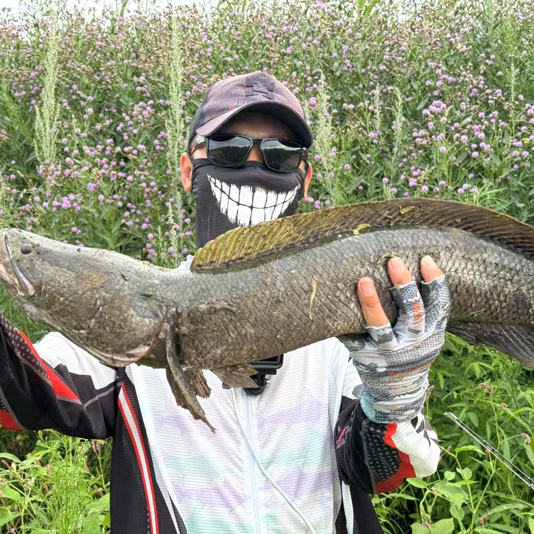 米小仙钓鱼（猫冬）