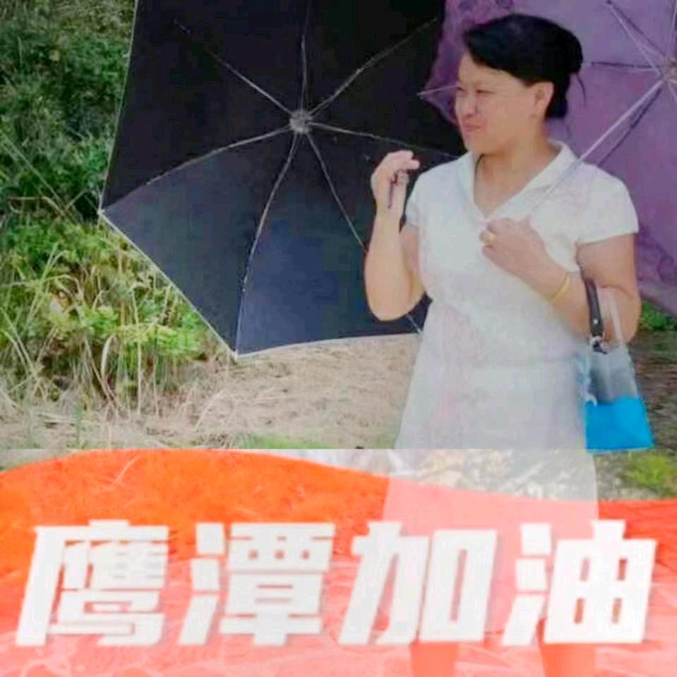 淑女宣言
