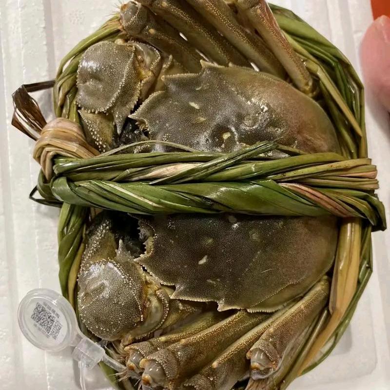 河蟹帮主