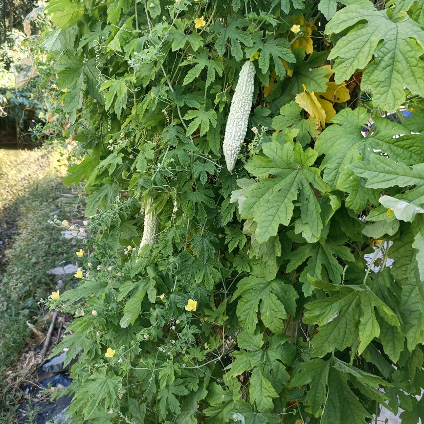 。。。。。。。。。