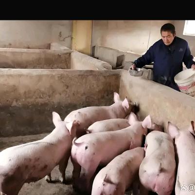 郑州市惠济区民鸿农牧经营部