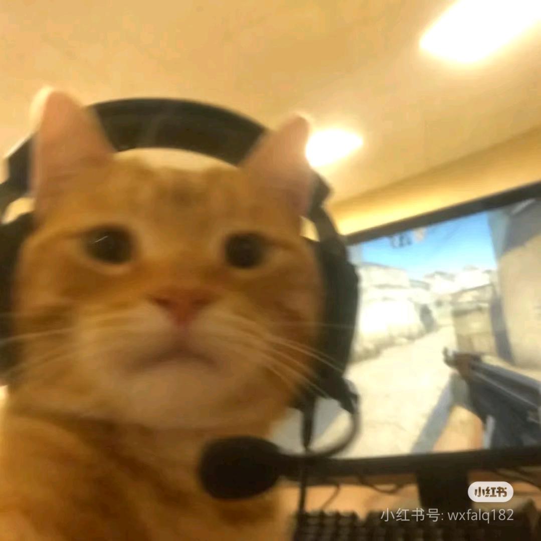 瓦.联盟.三角洲