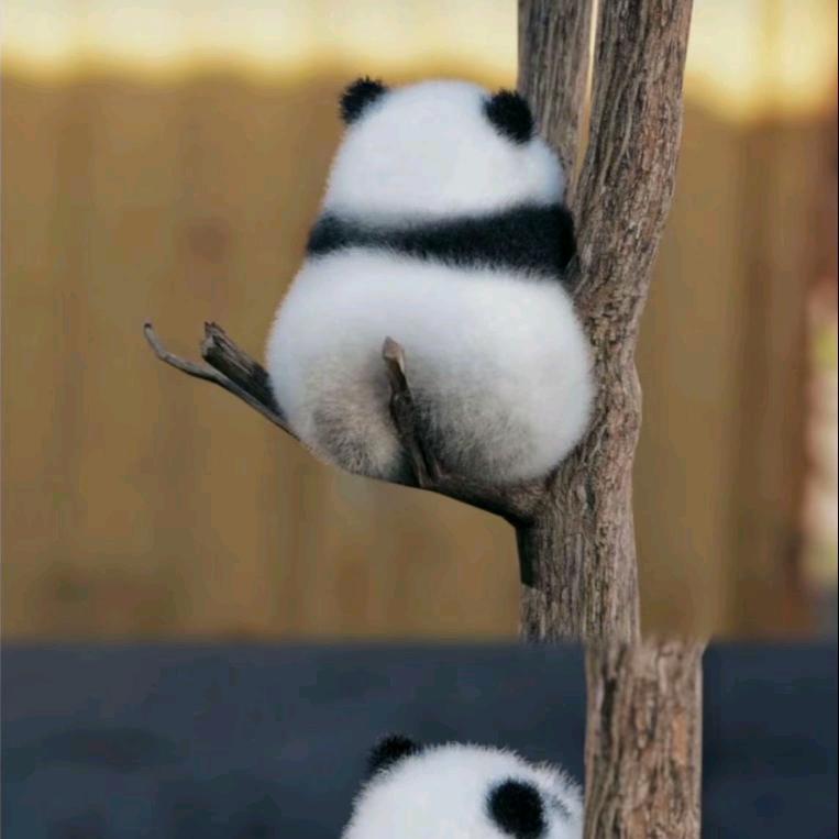 ✨好运畅连💫