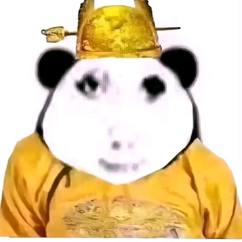 。。哈