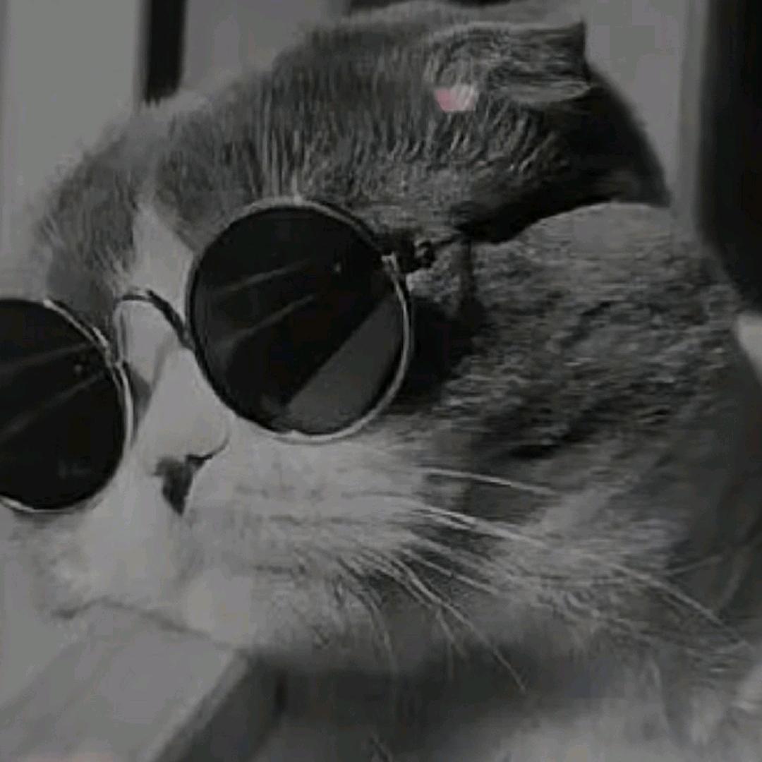 い╃無名先生ゝ