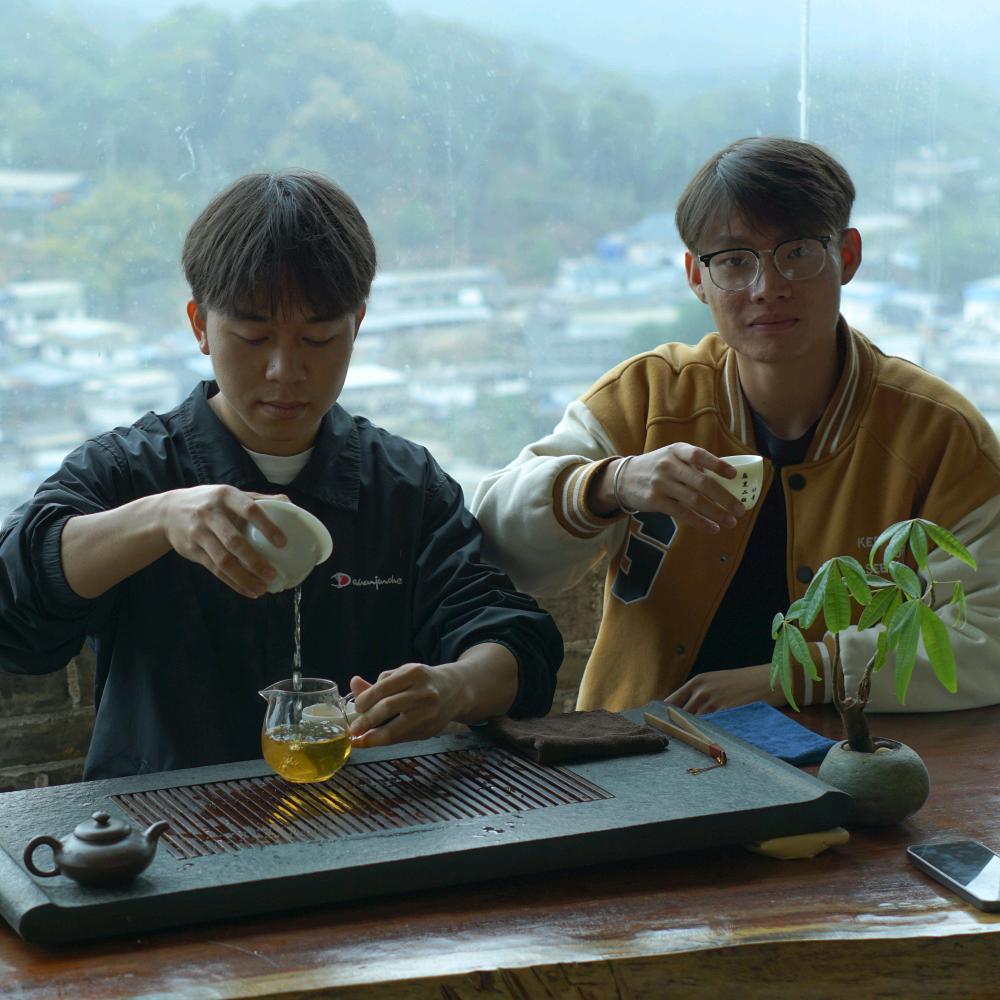 麻黑茶青年