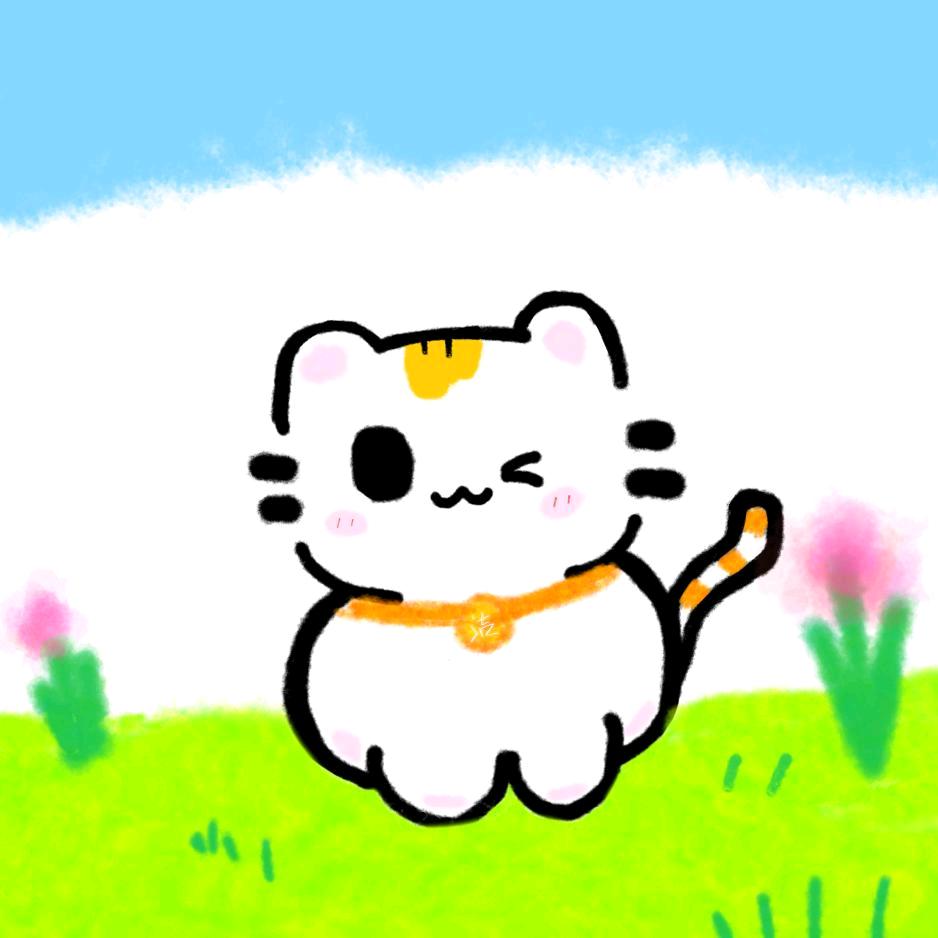泽七